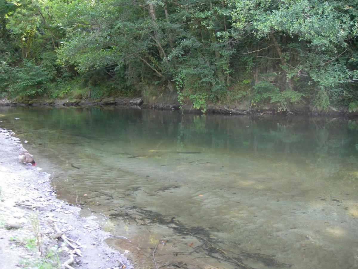 Appartement Les Rives De L'Ariege Luzenac Exteriér fotografie